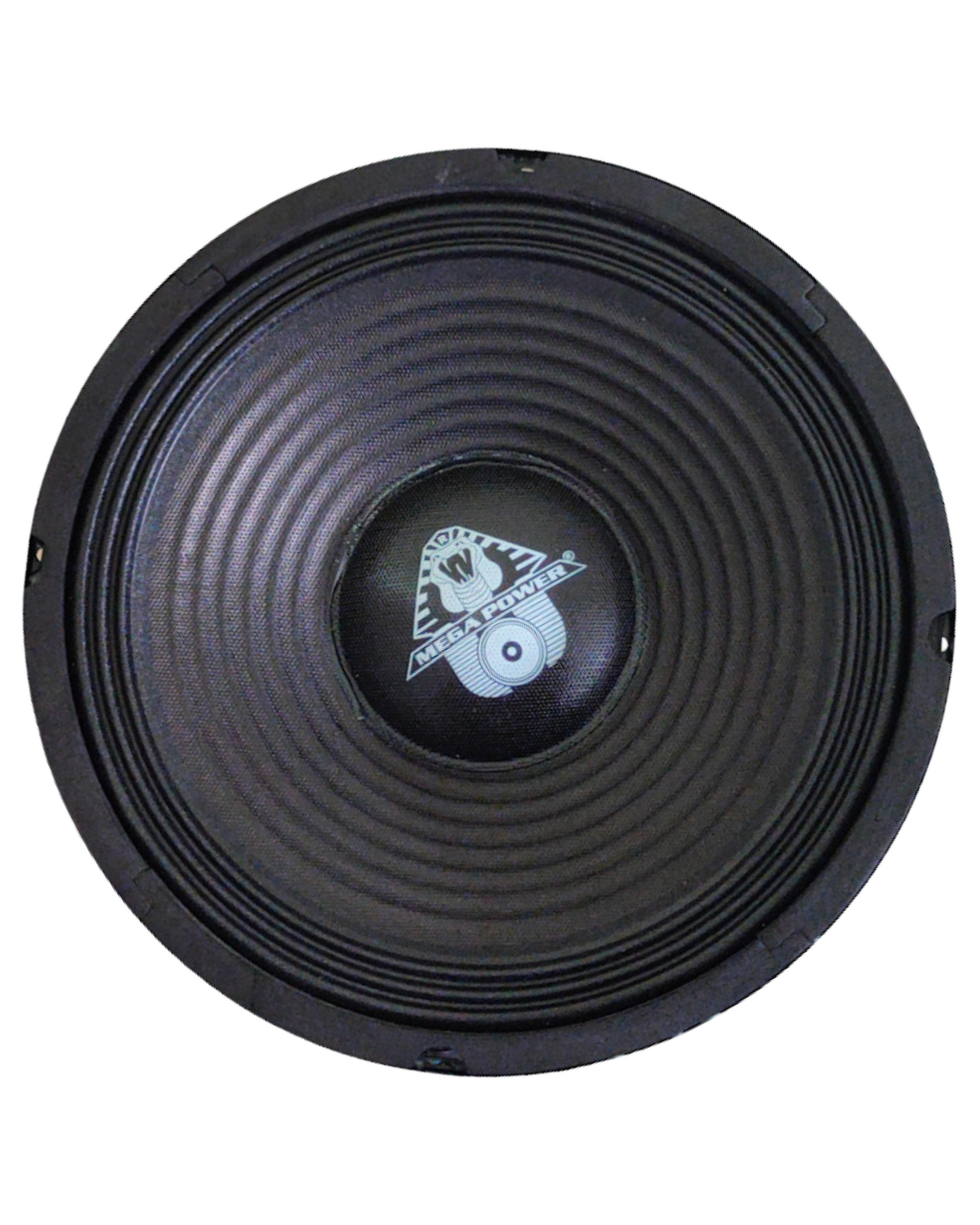 065-272 Bocina Megapower 10" 260w