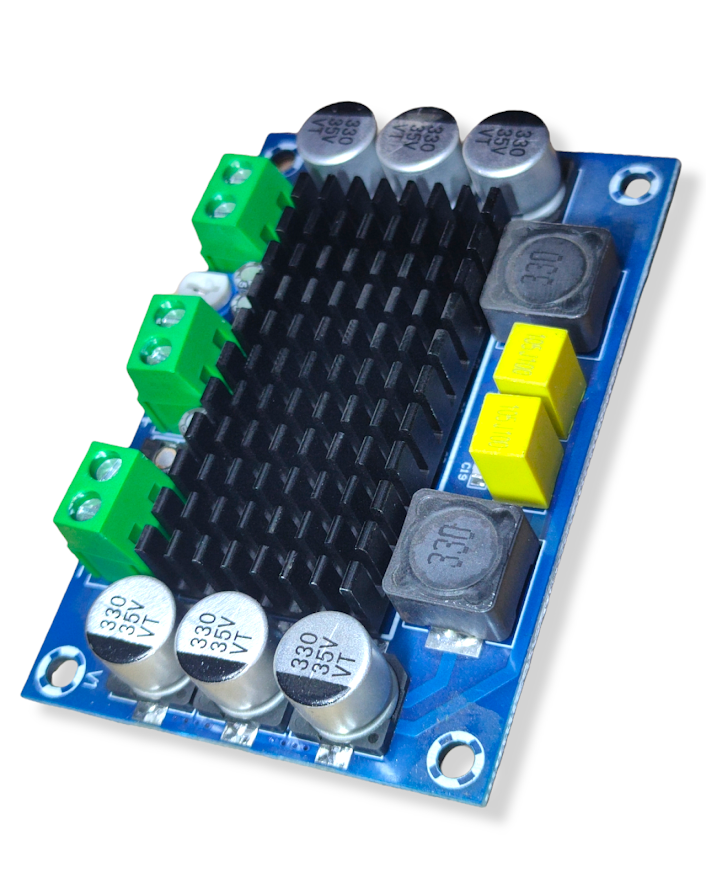 Amplificador TPA3116D2 Monaural 100w | Amplificador 1 Canal