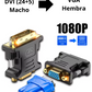 Adaptador Unidireccional DVI a VGA | DVI 24+5 macho a VGA Hembra