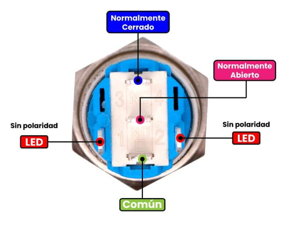 Switch Push Botón Redondo con Luz  5 Pines SWI53