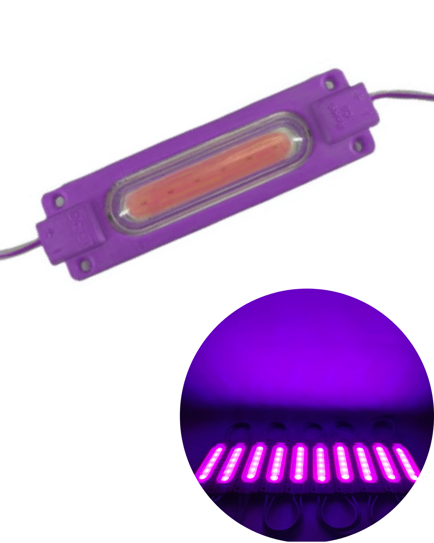 Modulo LED #2 Capsula 6818 Diferentes Colores