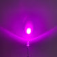 Diodo LED Ultrabrillante 5mm escolar | Diferentes Colores