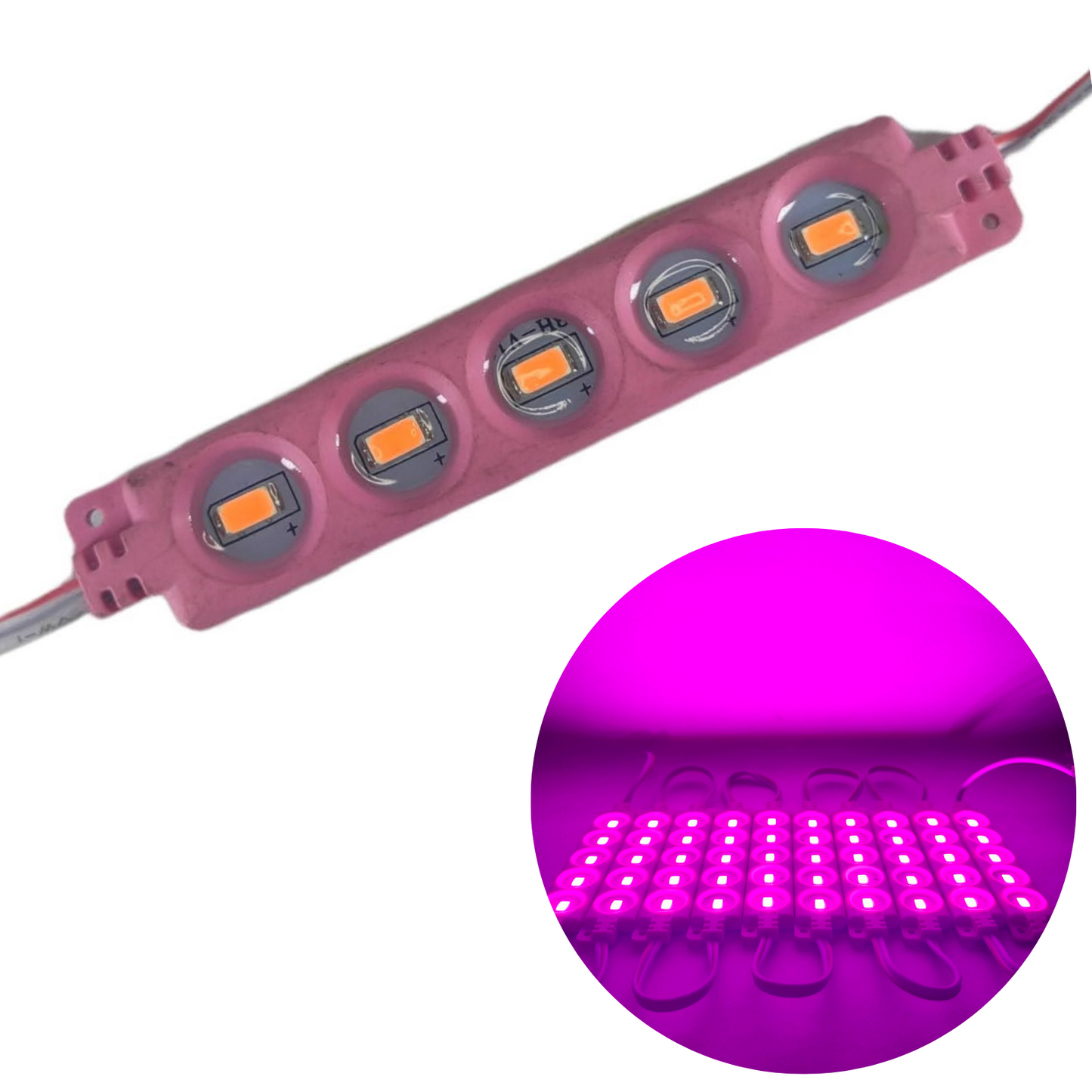 Modulo LED #1 5 LEDS 9517 Diferentes Colores