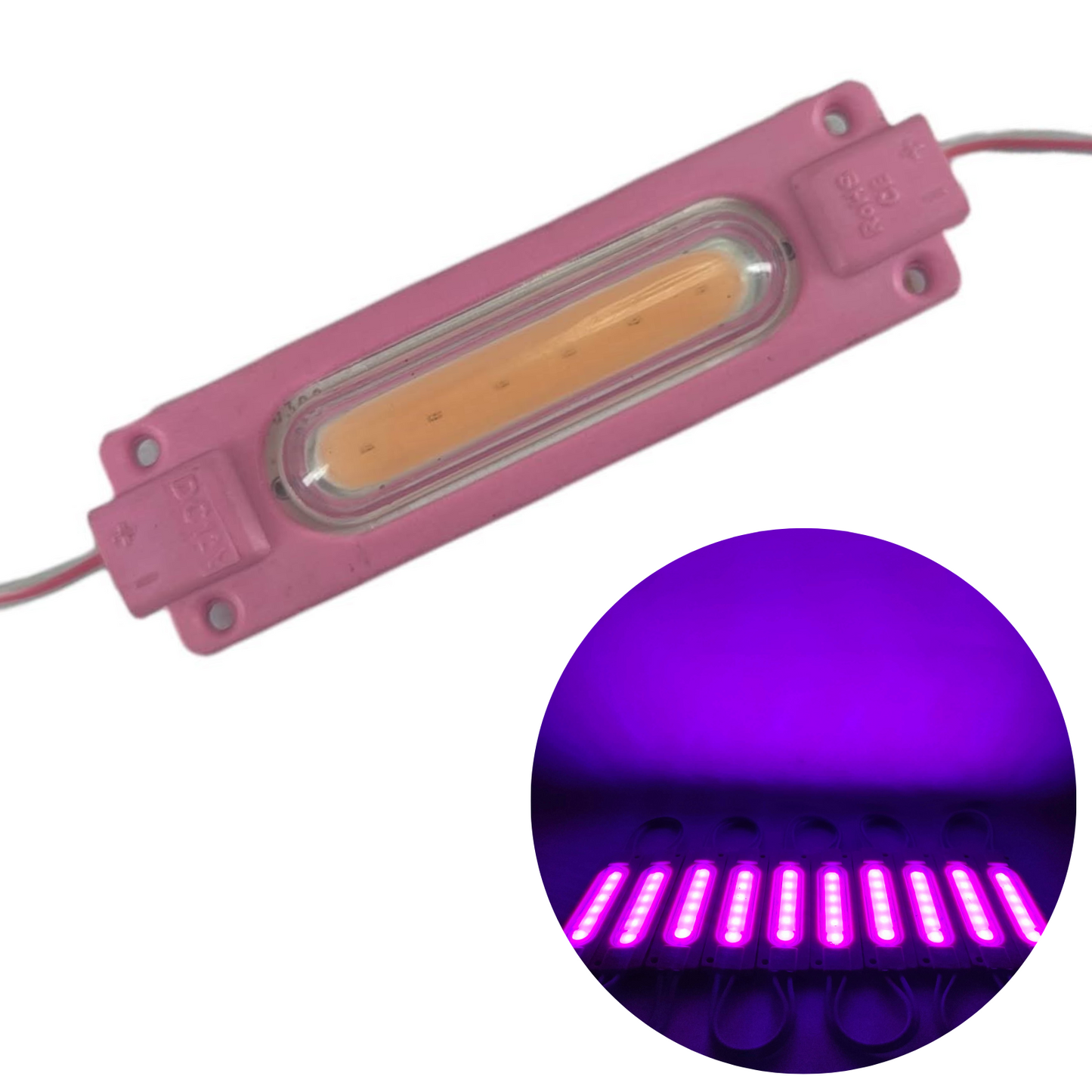 Modulo LED #2 Capsula 6818 Diferentes Colores